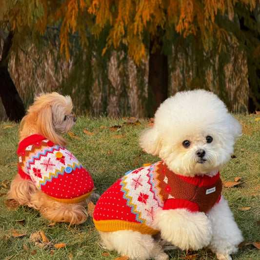 Red Christmas pet sweater for dogs (suitable for Bichon Frise, Maltese, etc.)