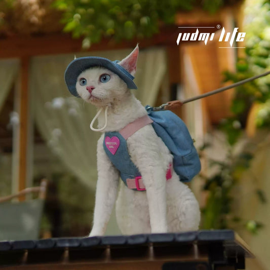 Royal Blue denim with cat cartoon patch and chest leash set including hat