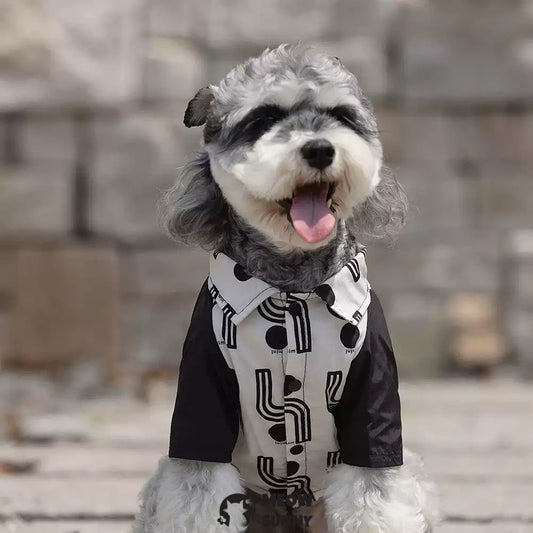 Simple popular summer thin dog comfortable and fashionable T-shirt