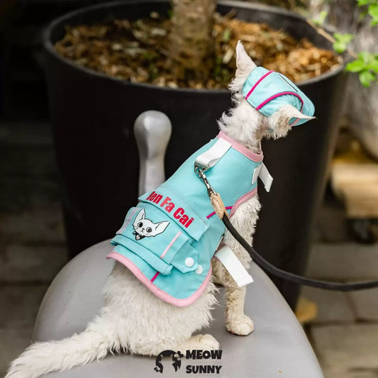 Sky blue cat sun protection chest belt set with hat for outdoor use
