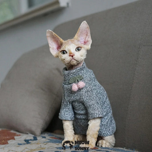 Sphinx Spring and Autumn Warm Stretch Knitted Sweater Cat Clothes
