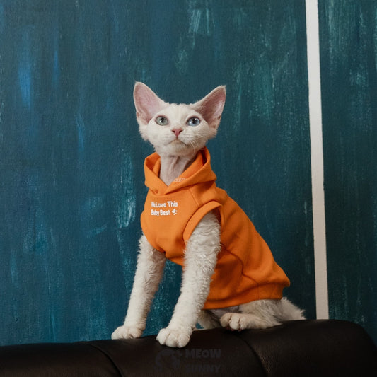 Sphynx Cat Apparel Kitty Hoodie Autumn and Winter Hairless Cat Clothes