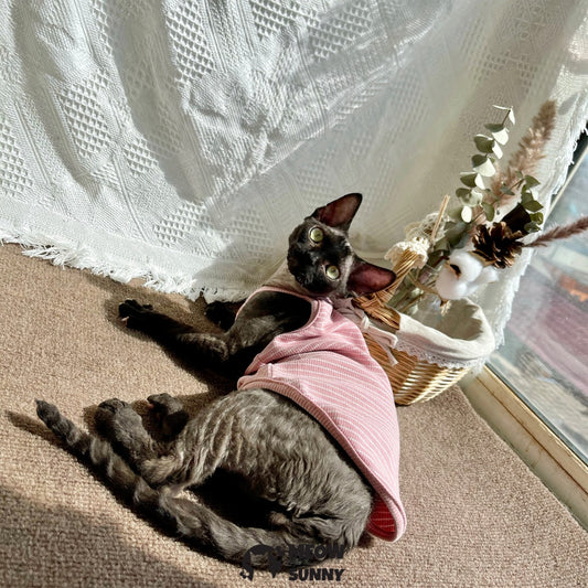 Sphynx Cat Breathable Stretchy Cat Summer shirt,Pink Striped