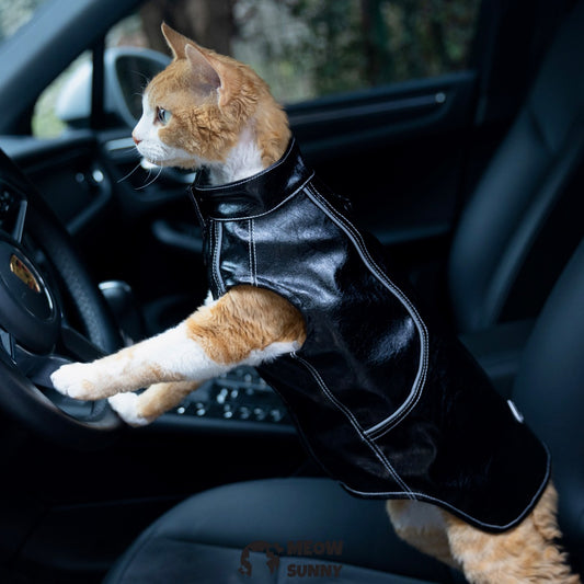 Sphynx Cat Winter Clothes, Elastic Leather Jacket,Outfit Coat