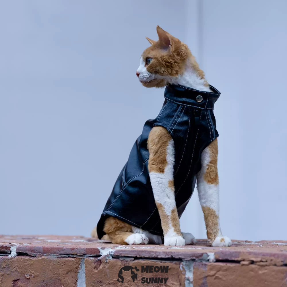 Sphynx Cat Winter Clothes, Elastic Leather Jacket,Outfit Coat
