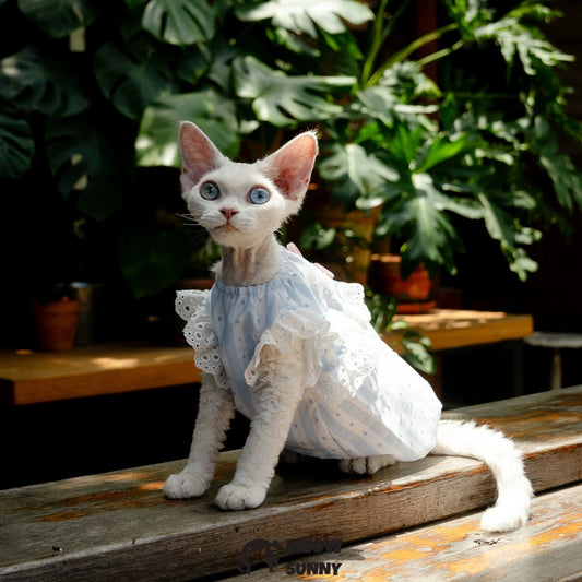 Sphynx Hairless Cat Breathable Spring Autumn Cotton Blue Dress
