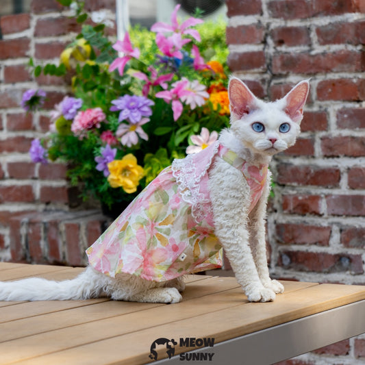 Sphynx Hairless Cat Breathable Spring Autumn Cotton Pink Dress