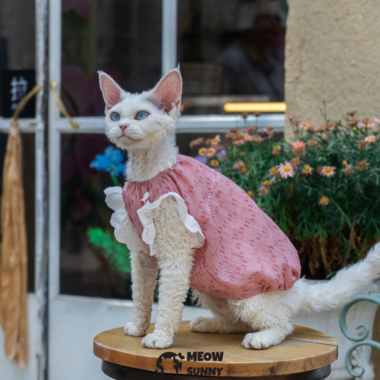 Sphynx Hairless Cat Breathable Spring Autumn Red Dress outfits