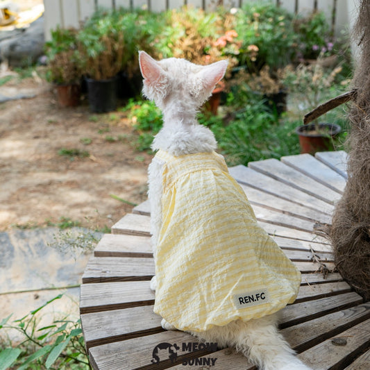 Sphynx Hairless Cat Breathable Spring Autumn Cotton Yellow Dress outfits