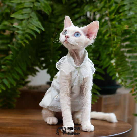 Sphynx Hairless Cat Clothes Cute Breathable lace mint green Dress