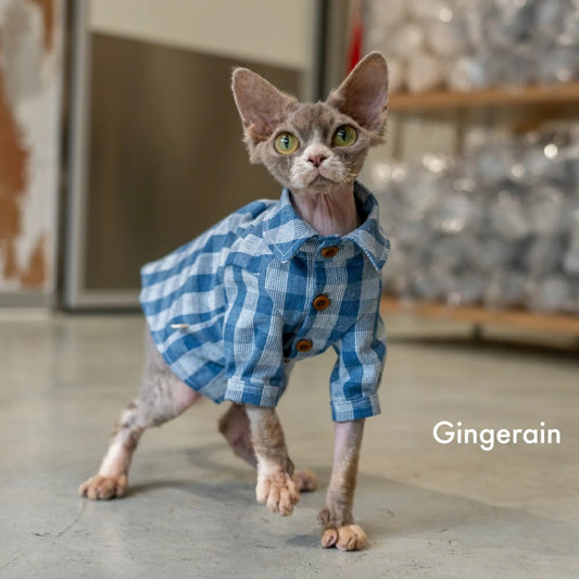 Sphynx Hairless Cat Spring and Summer Blue Plaid Shirt