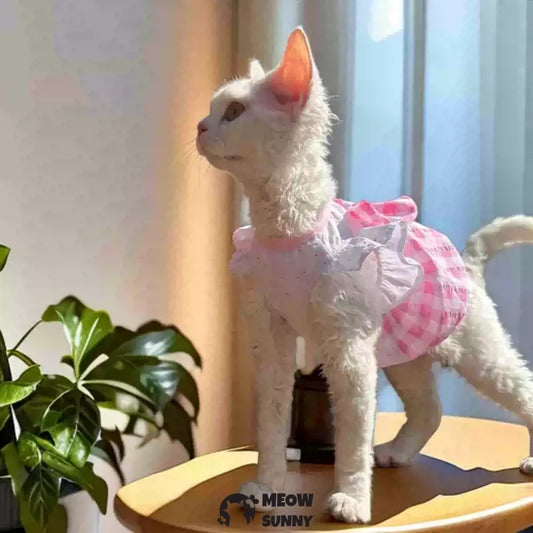 Sphynx Hairless Cat Summer Yellow Pink Plaid Super Soft Dress