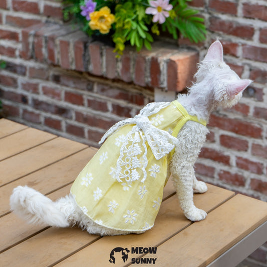 Sphynx Hairless Cat Vest Cute Breathable lace Yellow Dress
