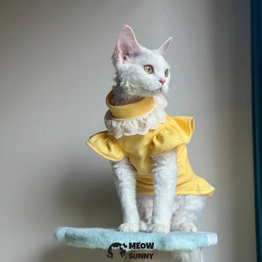 Super Soft Sphynx hairless cat summer yellow fluffy skirt
