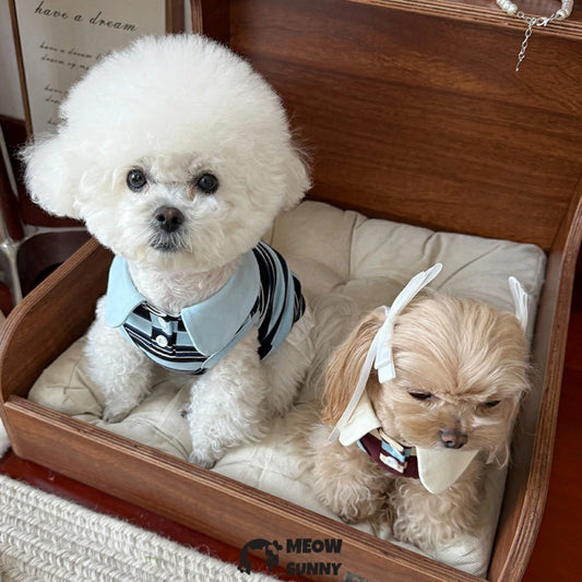 Striped polo pet vest dress - Clothing for small dogs like Yorkshire Terriers and Bichon Frises