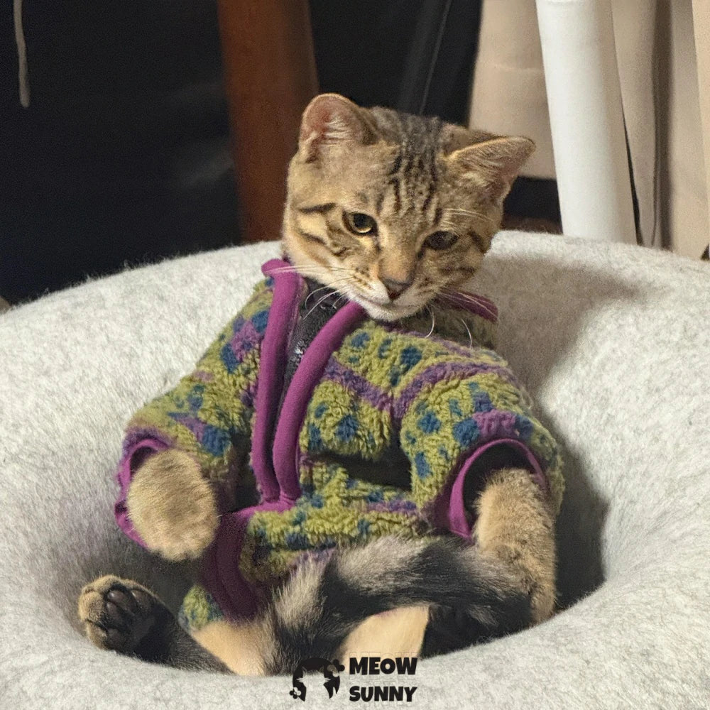 Stylish Devon cat clothes that prevent shedding