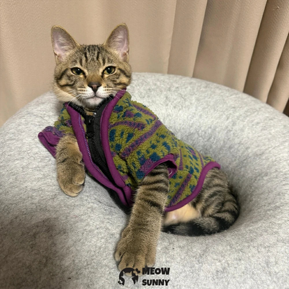 Stylish Devon cat clothes that prevent shedding
