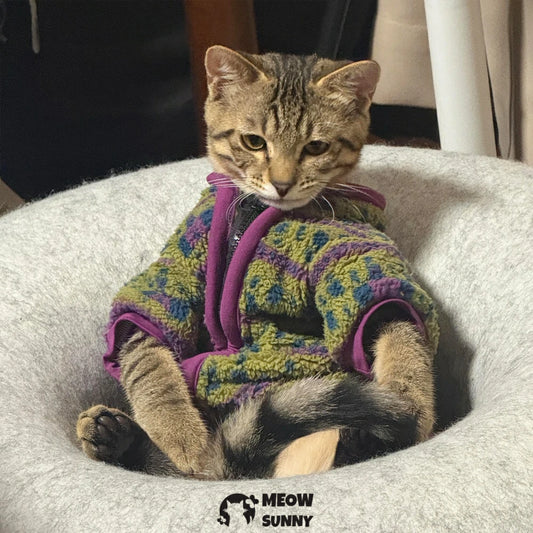 Stylish Devon cat clothes that prevent shedding