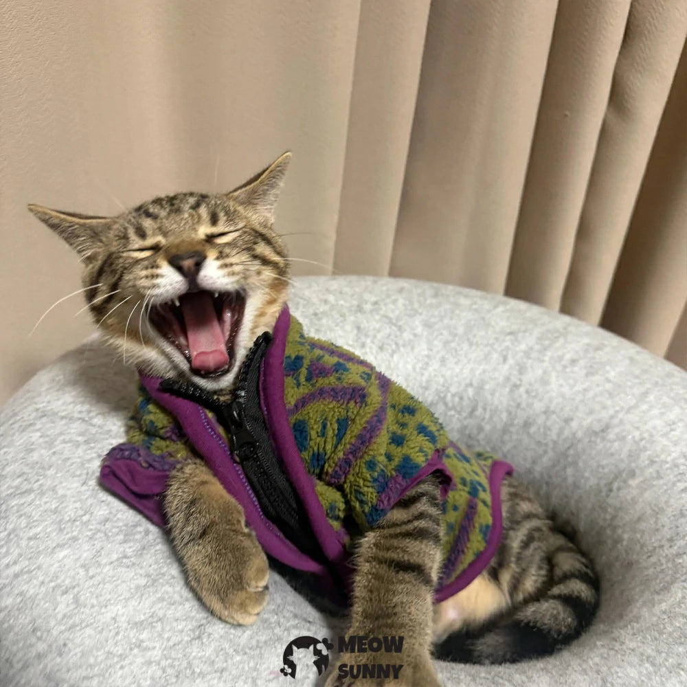 Stylish Devon cat clothes that prevent shedding