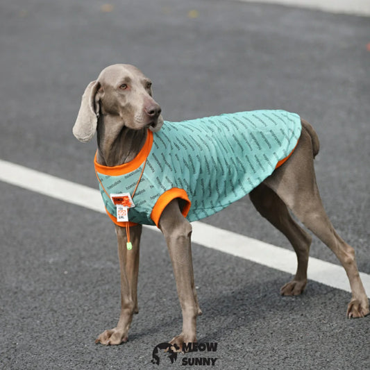 Summer Mesh Dog Vest Lightweight Shirt for Large Dogs