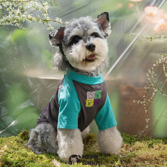 Summer Thin Dog T-shirt with Personalized Trendy Pattern