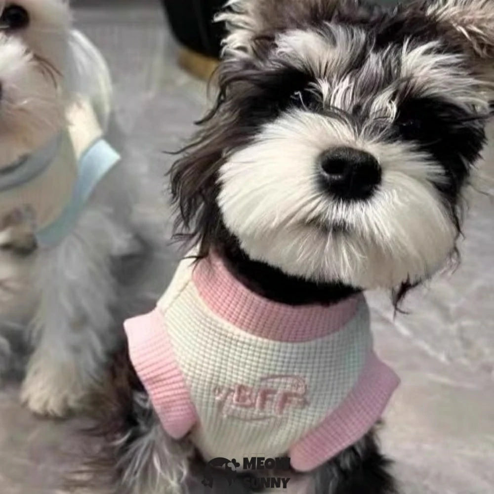 Summer Thin Pet Dog Clothes Anti-shedding Vest