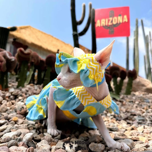 Summer pure cotton hairless cat dress cool and light outdoor sun protection
