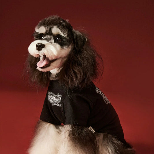 Summer thin T-shirt puppy snow autumn style inner wear