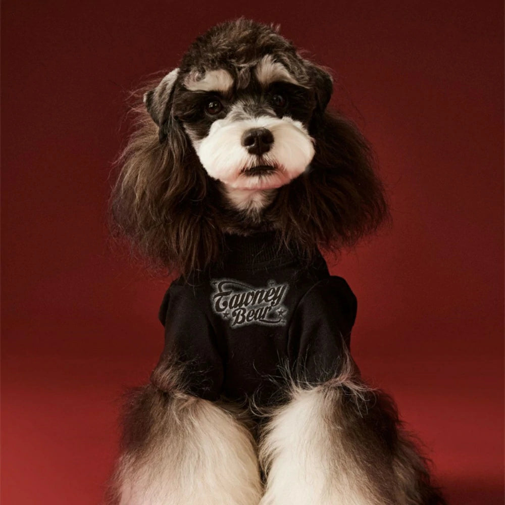 Summer thin T-shirt puppy snow autumn style inner wear