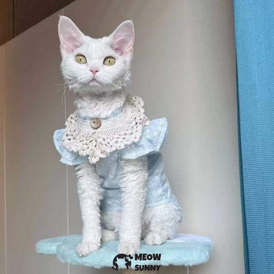 Super Soft Sphynx hairless cat summer Blue fluffy skirt