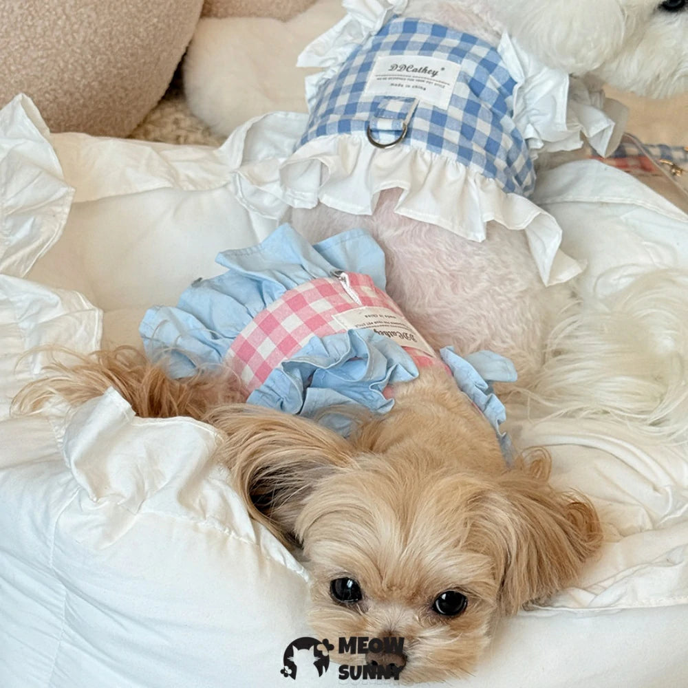 Sweet light blue checkered pet vest and leash set for small dogs.