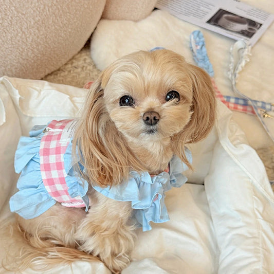 Sweet light blue checkered pet vest and leash set for small dogs.