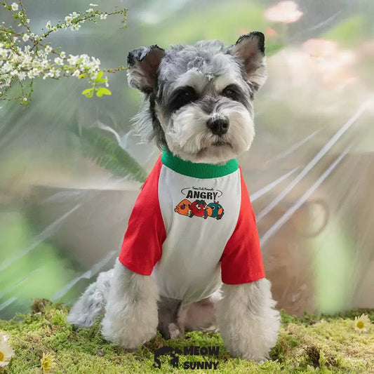 TOmaTO Friends Summer Thin Dog Comfortable Fashion T-shirt
