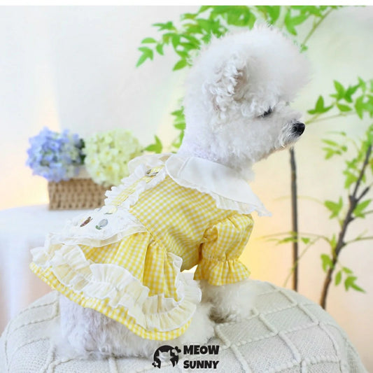 Teddy Panda Spring and Summer Yorkshire Terrier Yellow Princess Dress