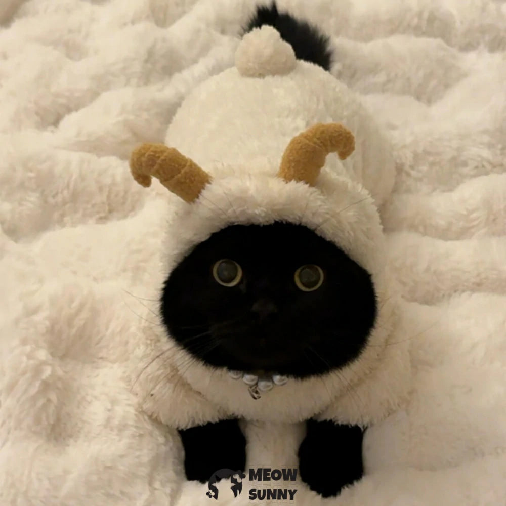 The little lamb's clothes are thick and warm.