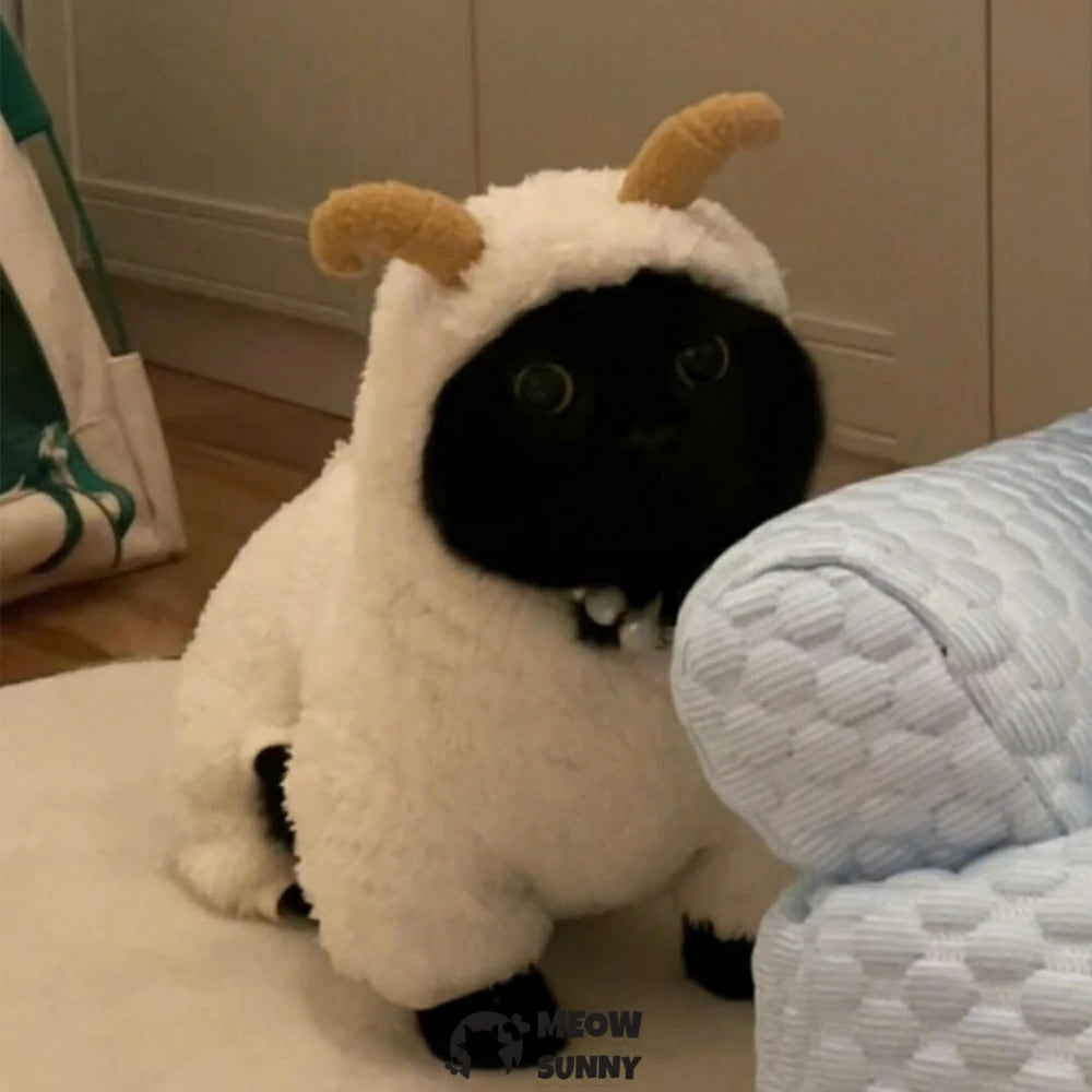 The little lamb's clothes are thick and warm.