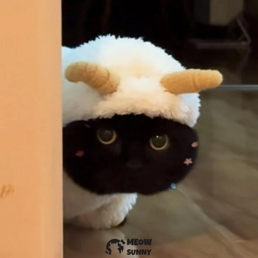 The little lamb's clothes are thick and warm.