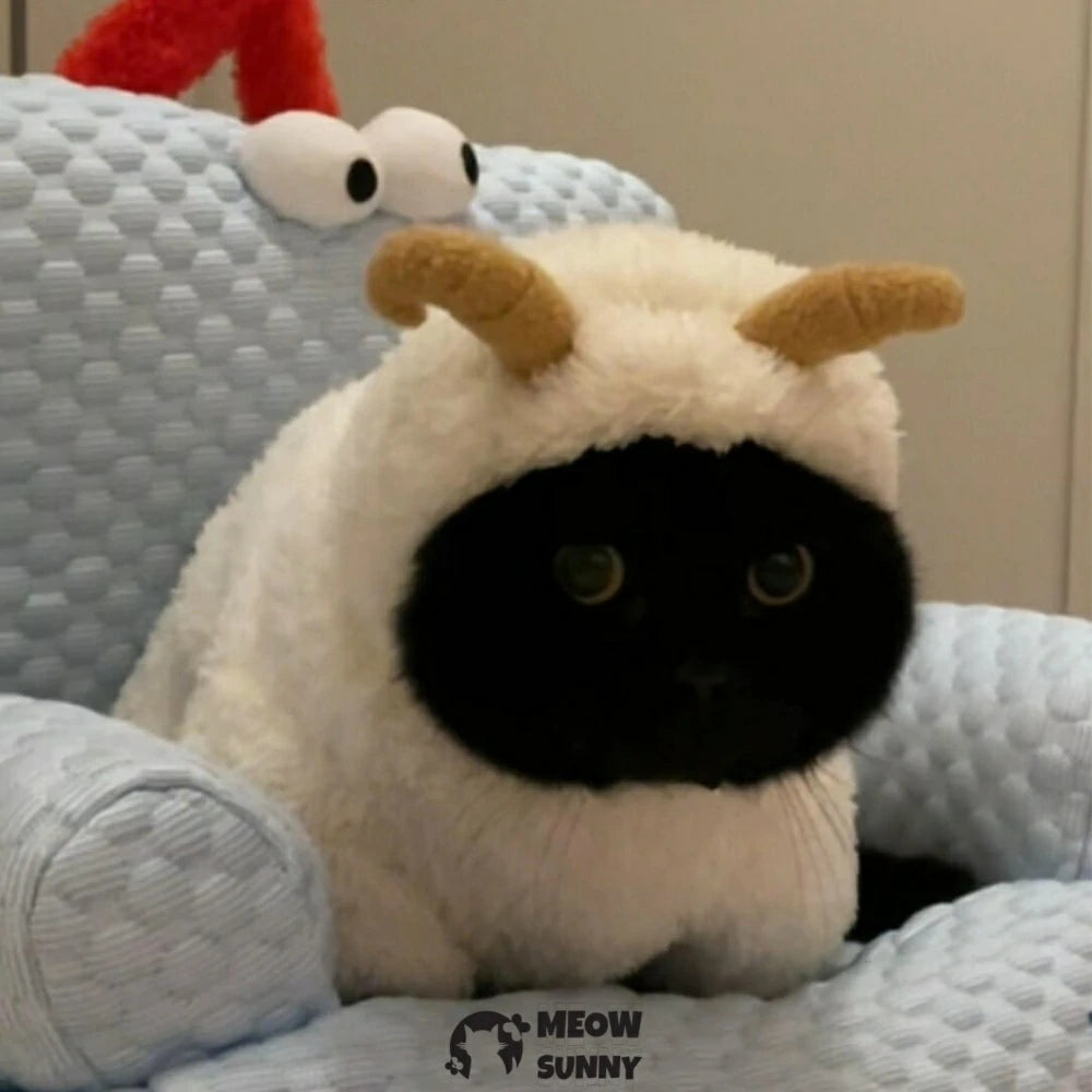 The little lamb's clothes are thick and warm.