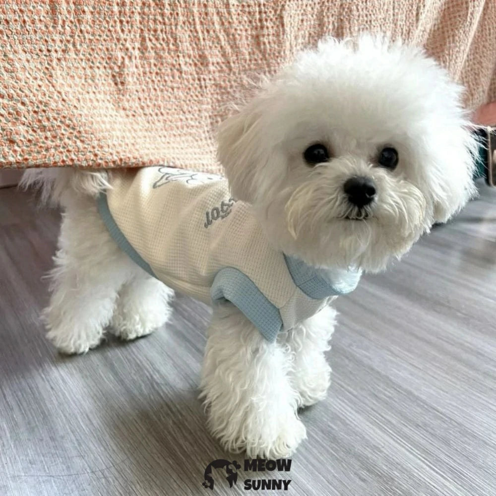 Thin pet dog clothes, vest for small dogs to prevent shedding.