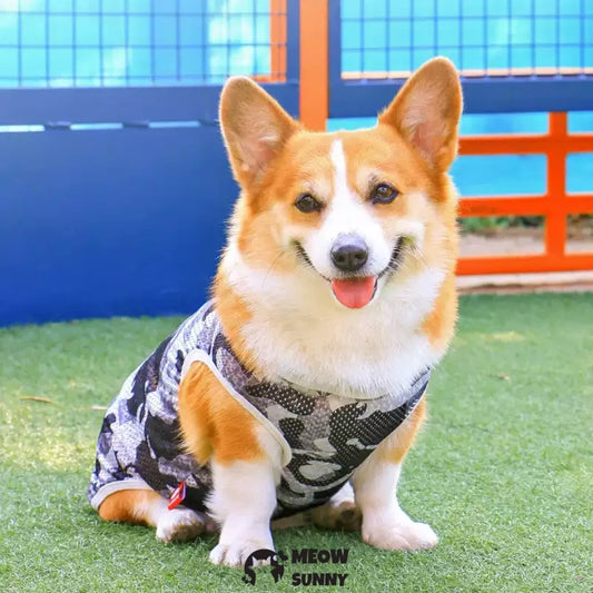 Thin summer breathable four-season anti-shedding vest for pet dogs