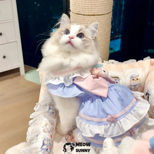 Violet Cat Princess Dress Cat Lolita Lace Bow Clothes