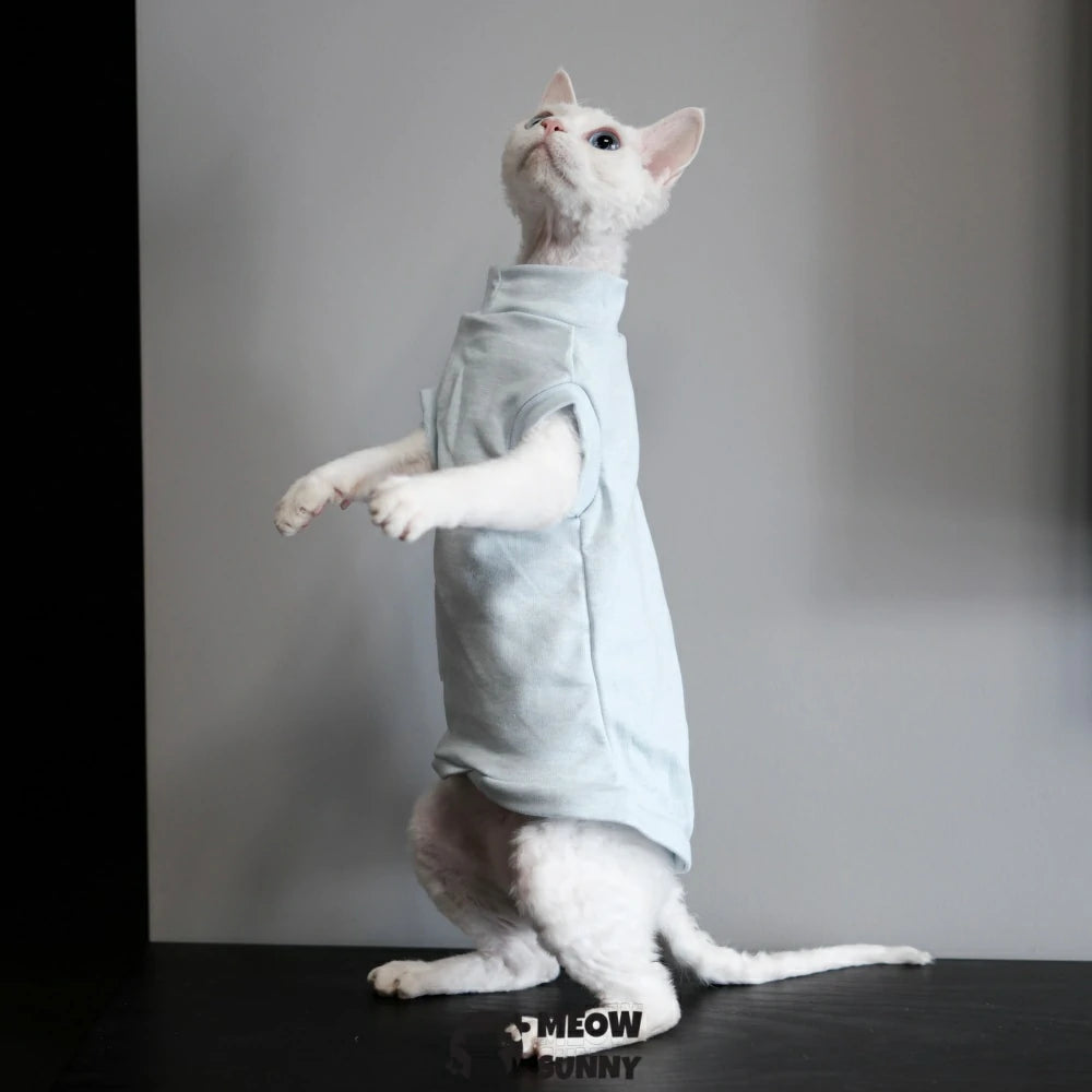 Warm, hypoallergenic, hairless cat-themed clothing, plain-colored vest, sleeveless top
