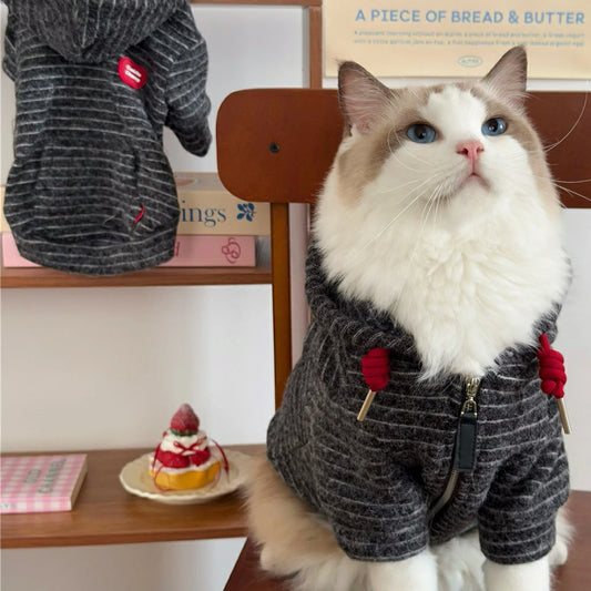 Warm and stylish hooded knitted sweater for cats.
