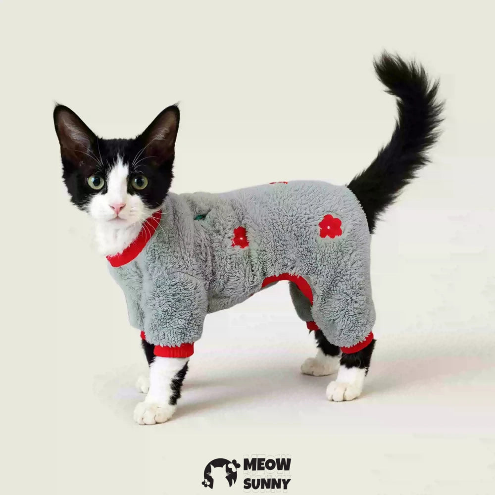 Warm four-legged cat clothes with fruit pattern, thickened and anti-static.