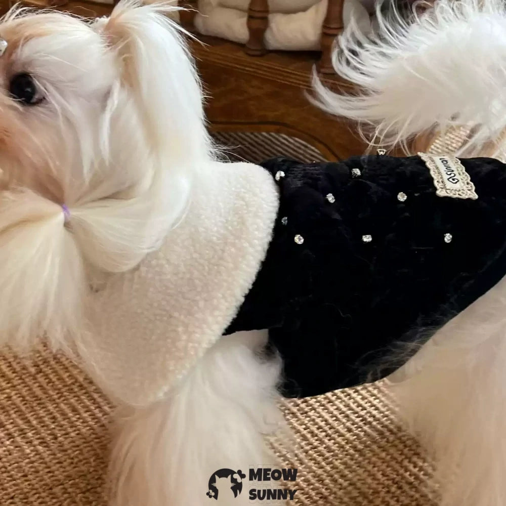 Warm vest with fur collar for small and medium dogs