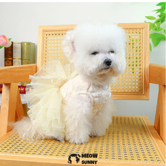 Wedding dress pet clothes dog skirt summer princess dress
