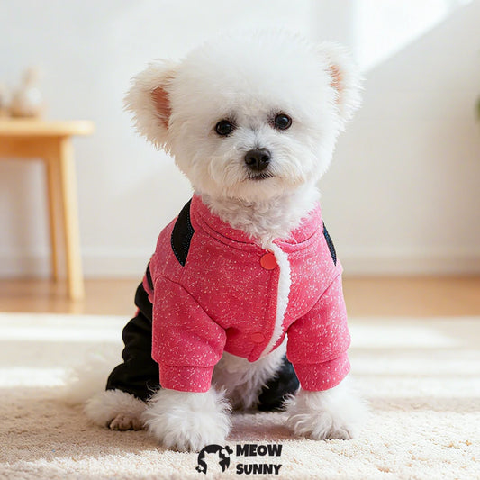 Winter four-legged thickened dog coat with bear embroidery, providing warmth and insulation.