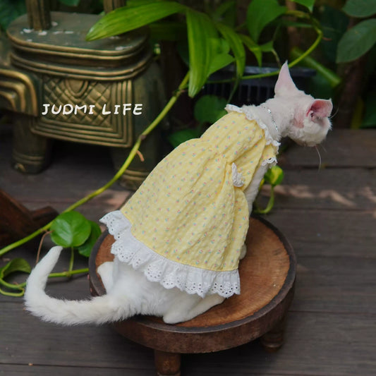 Yellow lace dress with cute fruit pattern and cat bow
