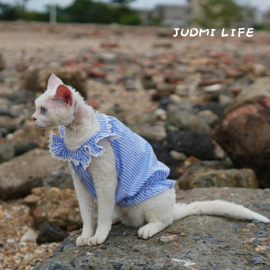 Summer Cat Clothing Blue Plaid Comfortable Transparent Pet Dress