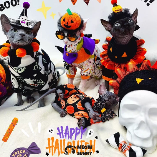 Pure cotton hairless cat clothes pure cotton Halloween handsome four-legged cover